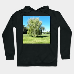 Tree in summer time Hoodie